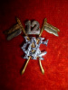 12th Cavalry (F.F.) Cap Badge - Pakistan Army  